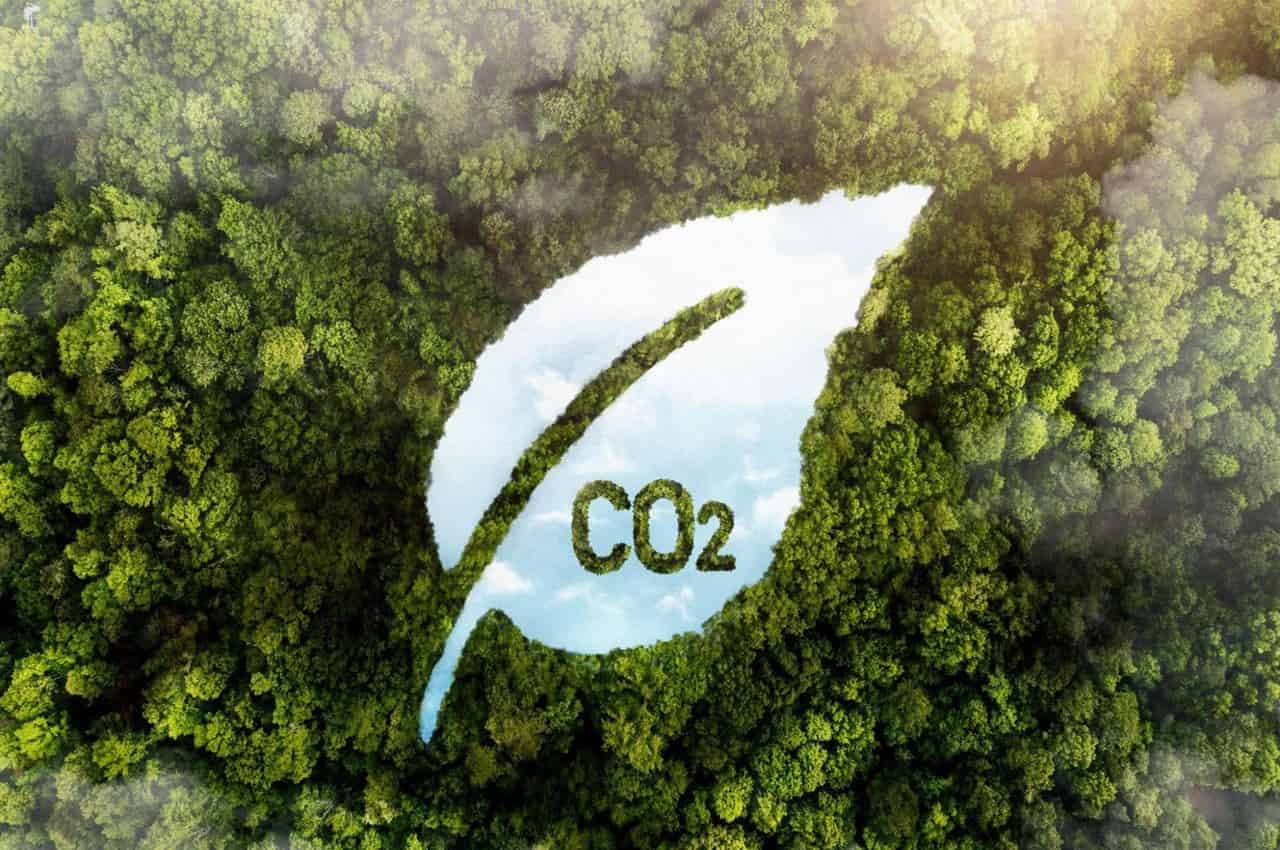 Simulação de uma folha escrito CO2 e em cima de uma floresta para representar a pegada de carbono.