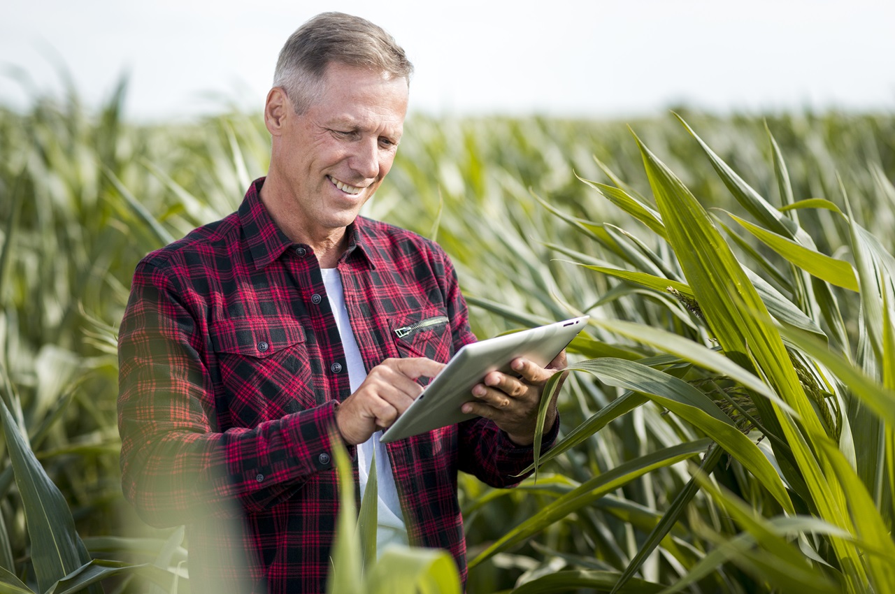 Homem sorridente vestindo camisa xadrez vermelha e utilizando tablet no meio de uma plantação de milho.