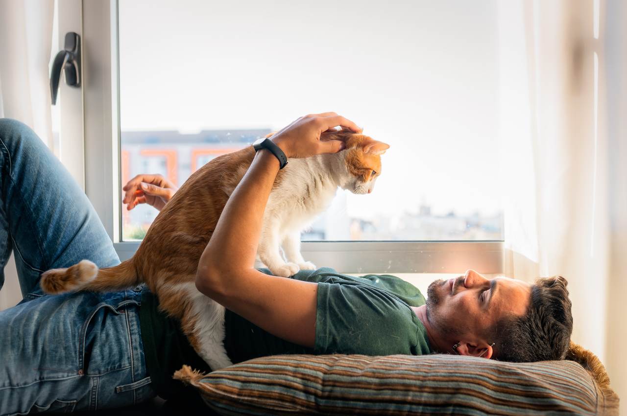 Homem deitado em sua cama e brincando com seu gato de estimação. O gato é um SDR laranja.