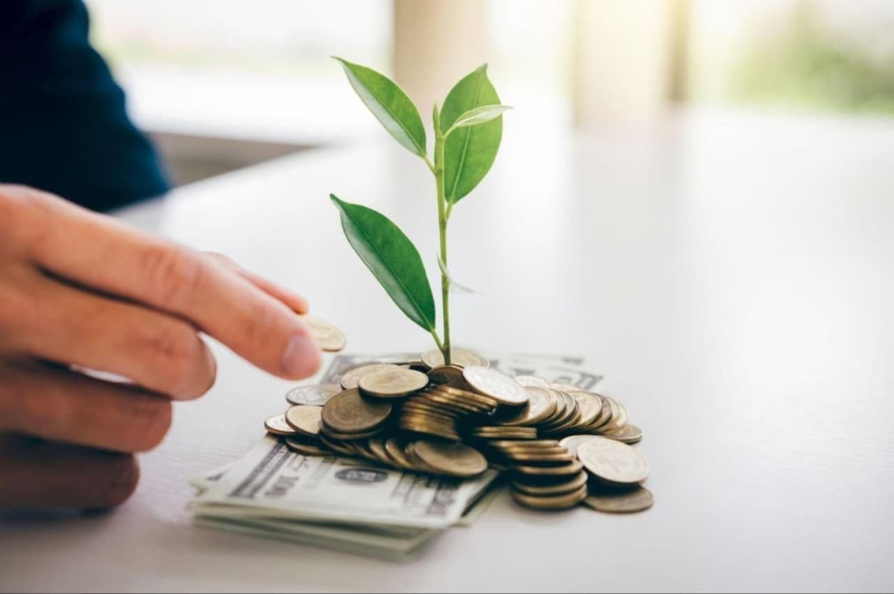 Broto de planta ao lado de pilha de moedas.