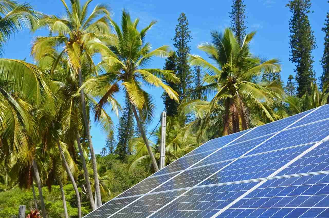 Painel solar instalado em telhado de casa e, ao fundo, vários coqueiros e um céu azul.